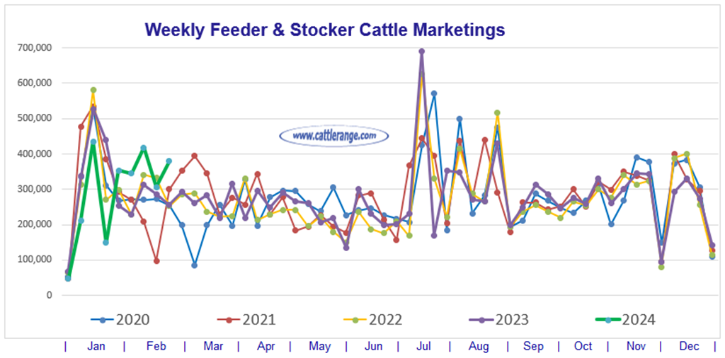 Feeder & Stocker Cattle Marketings for the week ending 2/24/24