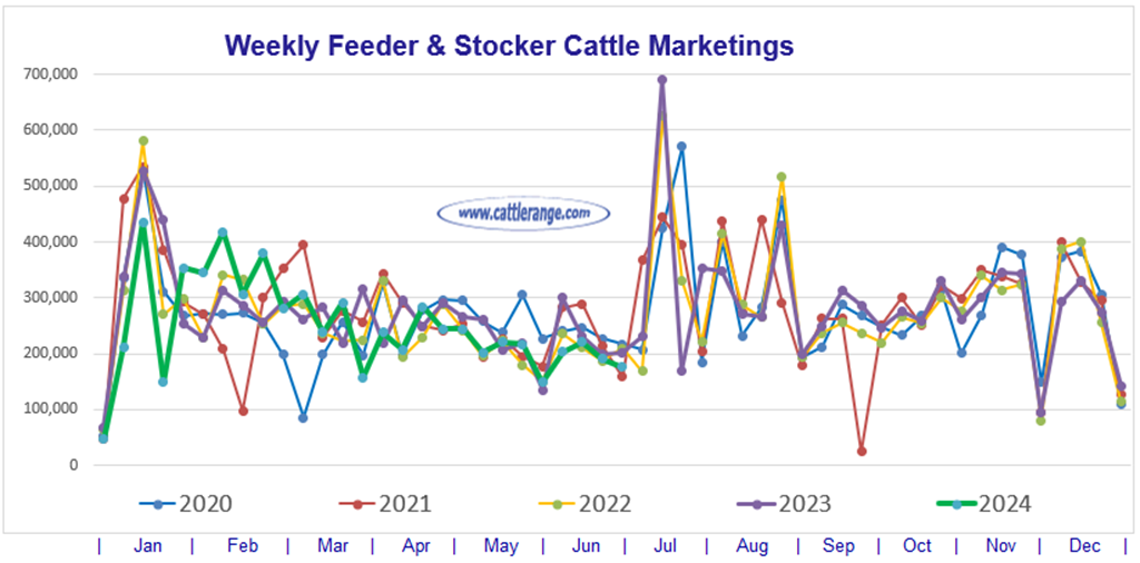 Feeder & Stocker Cattle Marketings for the week ending 6/29/24