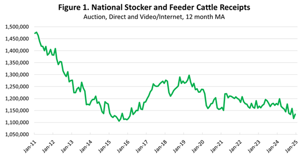 Cattle and Beef Markets Charge into 2025