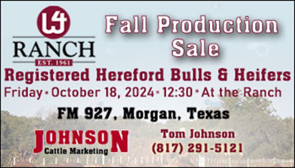 W4 Ranch Fall Production Sale - Johnson Cattle Marketing (SB) (1)