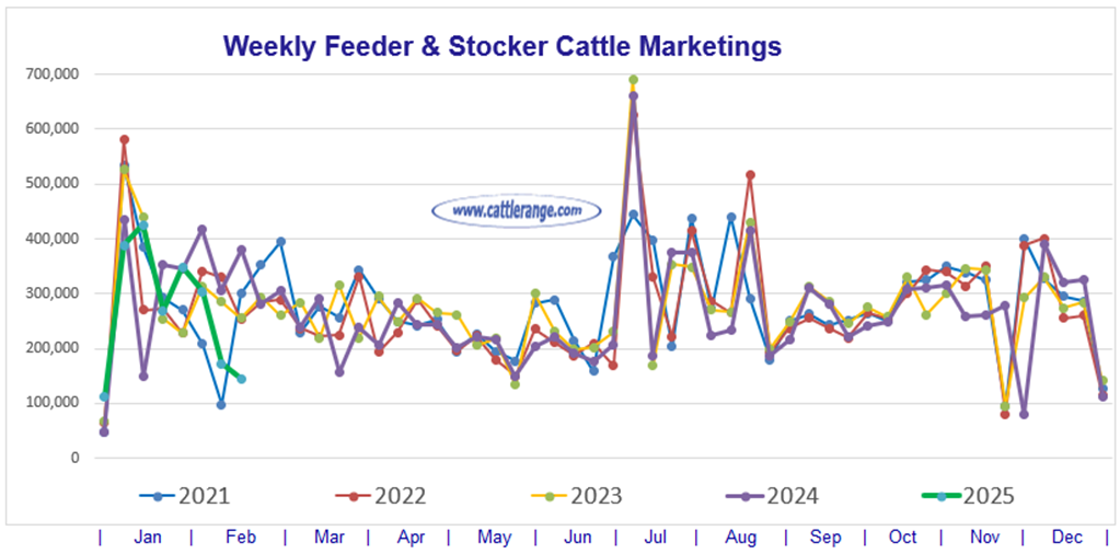 Feeder & Stocker Cattle Marketings for the week ending 2/22/25