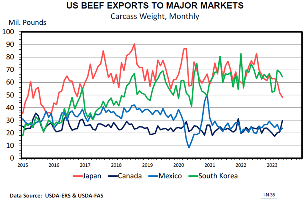Beef and Cattle Trade Responds to Cattle Market Conditions