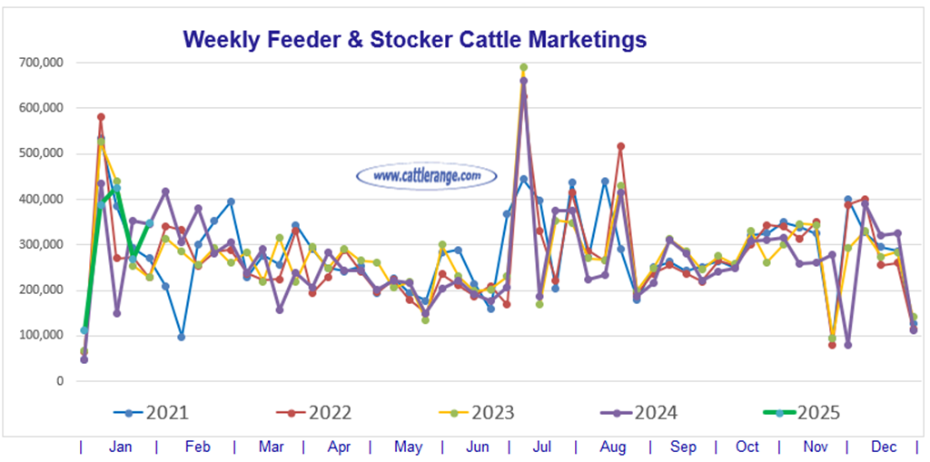 Feeder & Stocker Cattle Marketings for the week ending 2/1/25