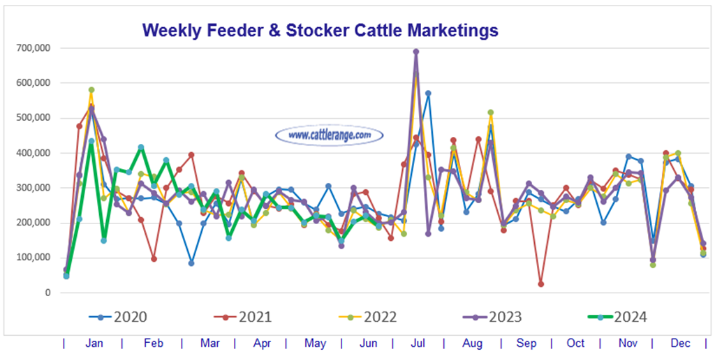 Feeder & Stocker Cattle Marketings for the week ending 6/22/24