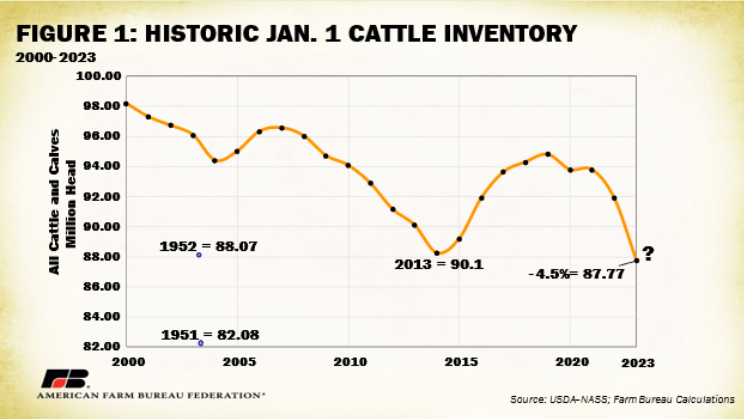 2023 Cattle Market Outlook Cattle Range