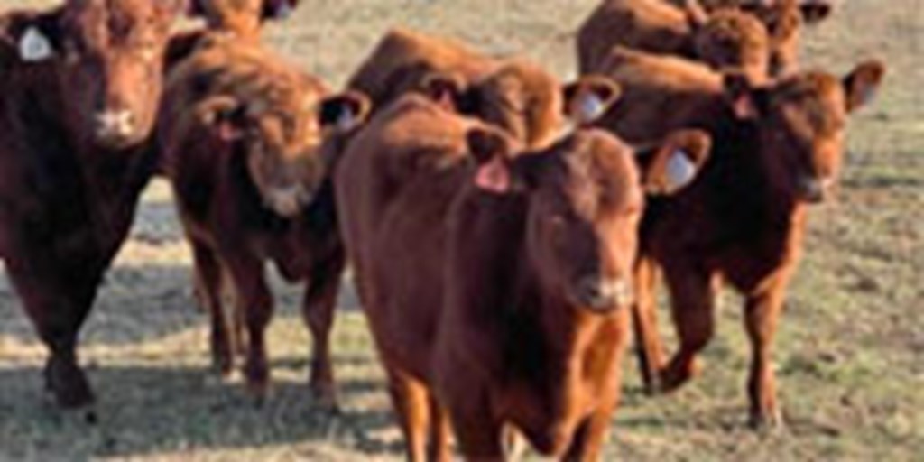 Listings Cattle Range