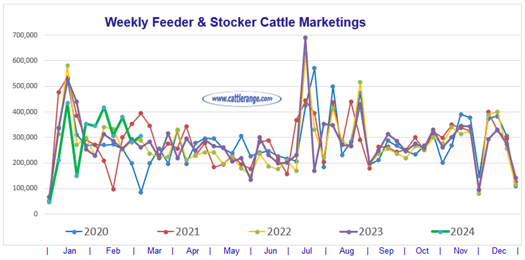 Feeder & Stocker Cattle Marketings for the week ending 3/9/24