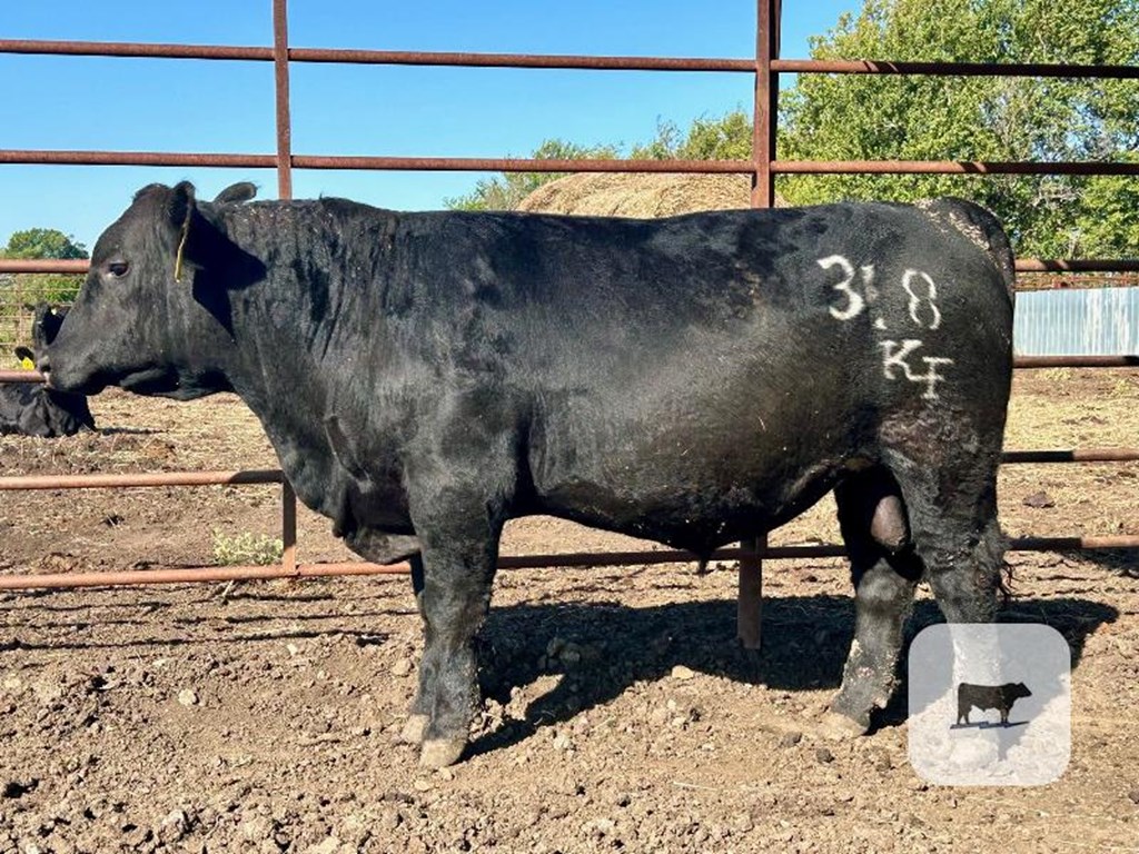 Cattle Range Listing Photo