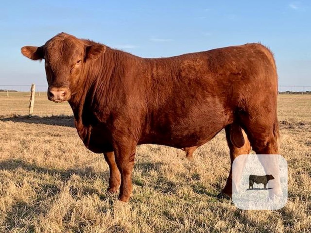 Cattle Range Listing Photo