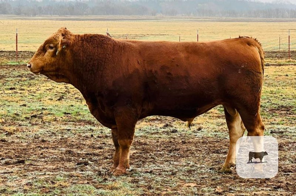 Cattle Range Listing Photo