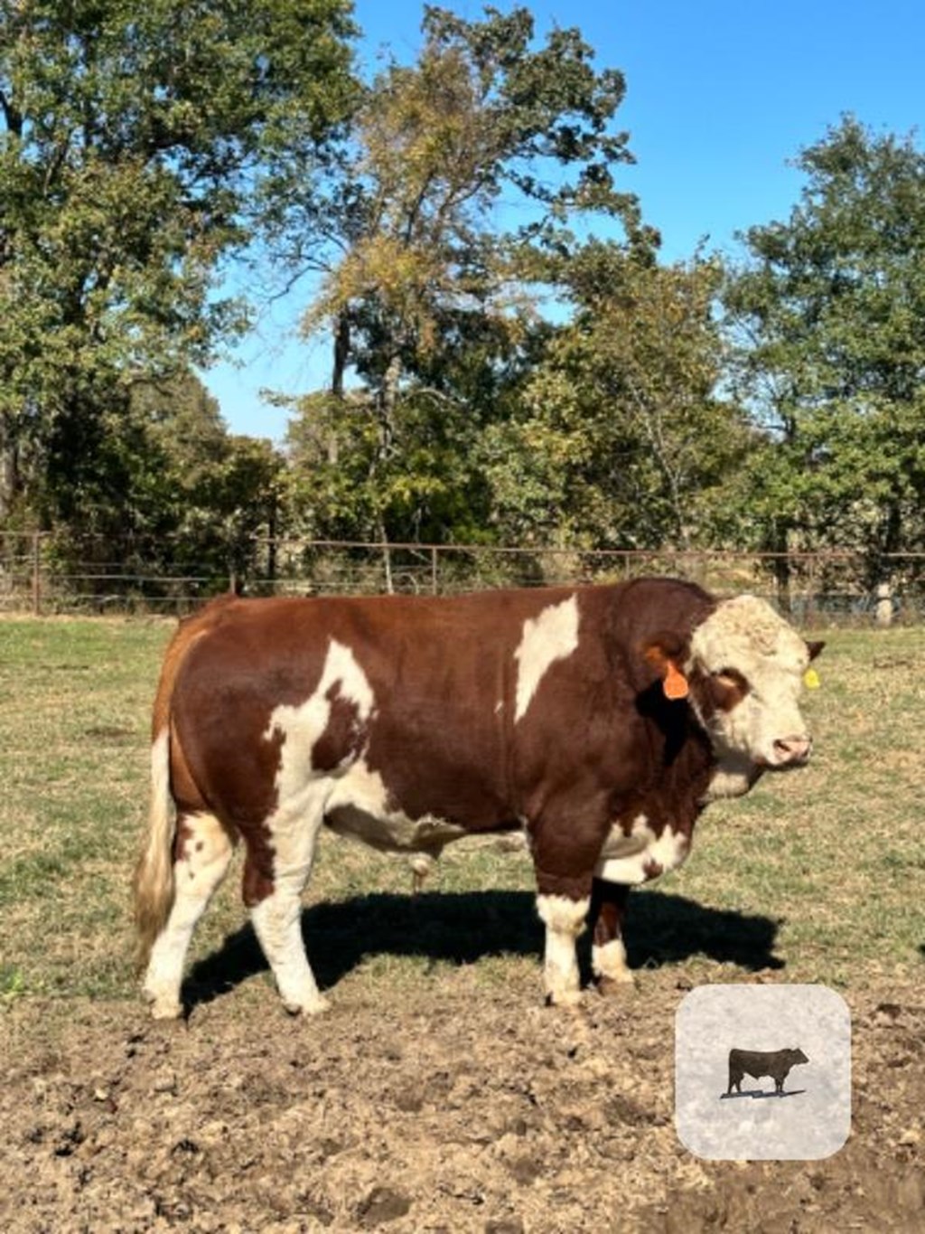 Cattle Range Listing Photo