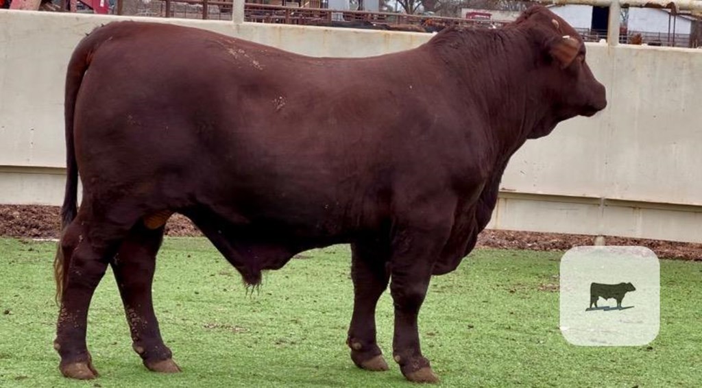 Cattle Range Listing Photo