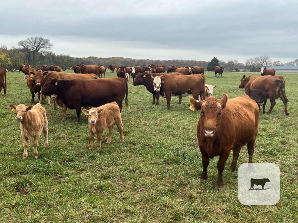 Cattle Range Listing Photo