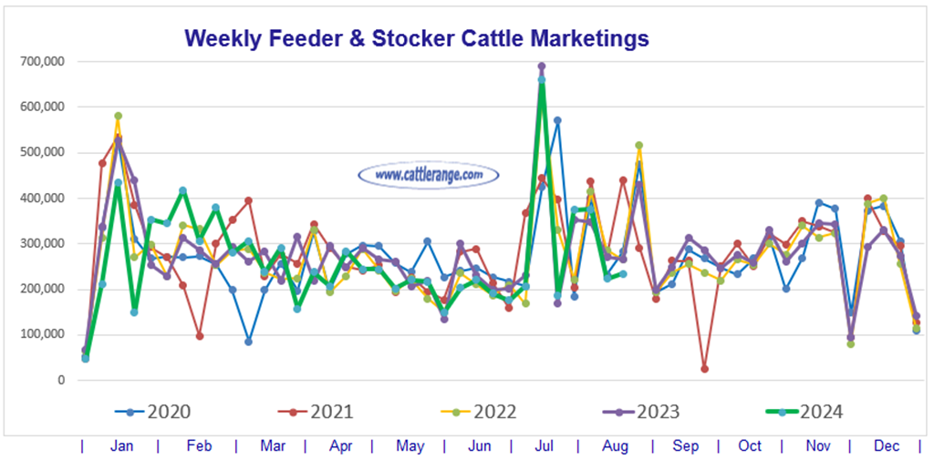 Feeder & Stocker Cattle Marketings for the week ending 8/17/24