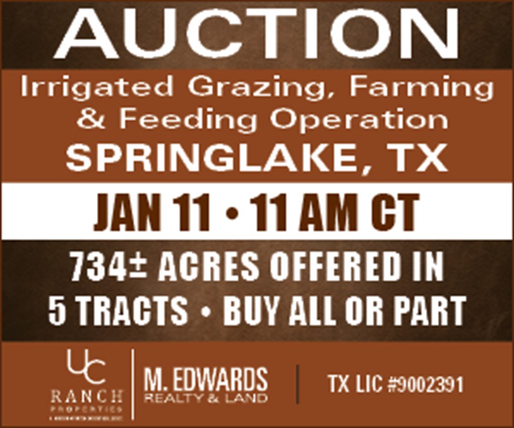 West Texas Multi-Parcel Auction