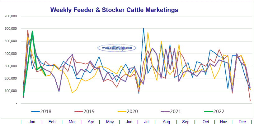 Weekly Feeder & Stocker Cattle Marketings For Week Ending 02/05/22 ...