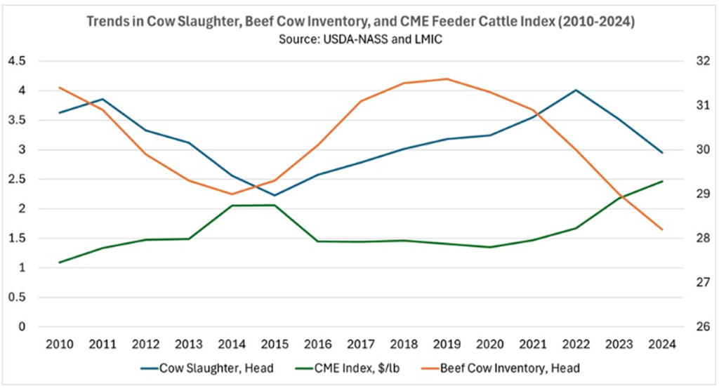 Are We Nearing Expansion? A Look at Cow Slaughter and the Inventory Cycle