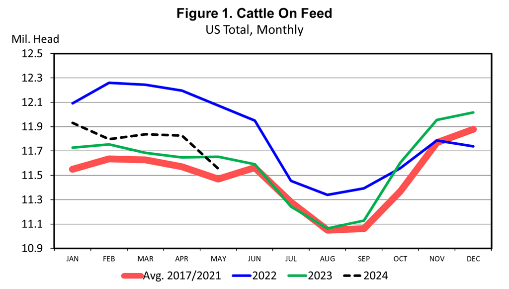 Cattle on Feed Down for First Time in Eight Months