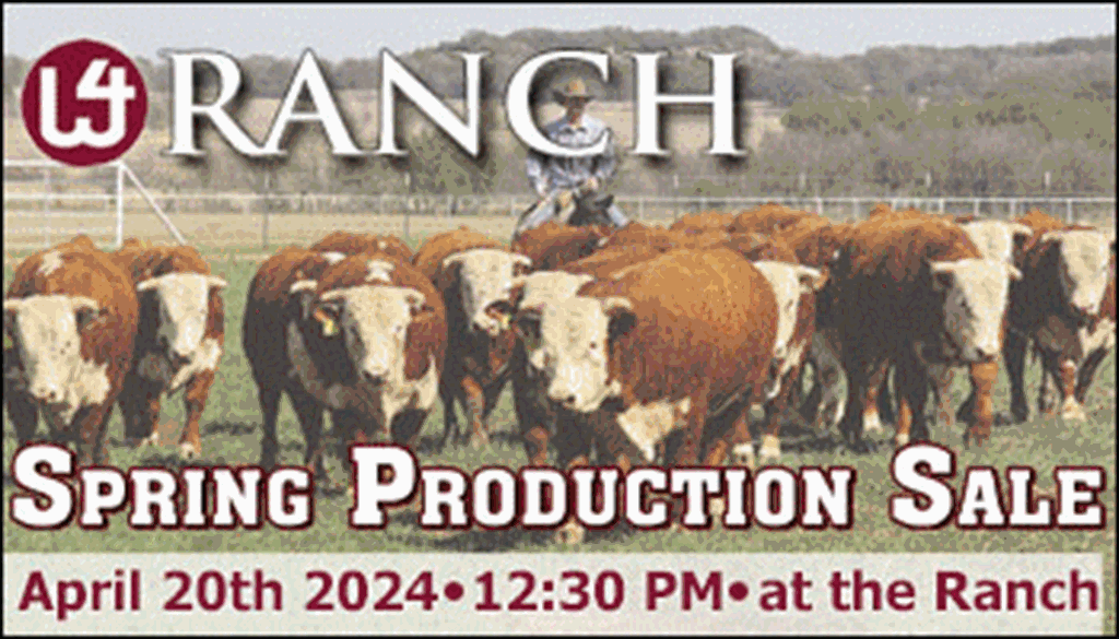 W4 Hereford Ranch Spring Production Sale
