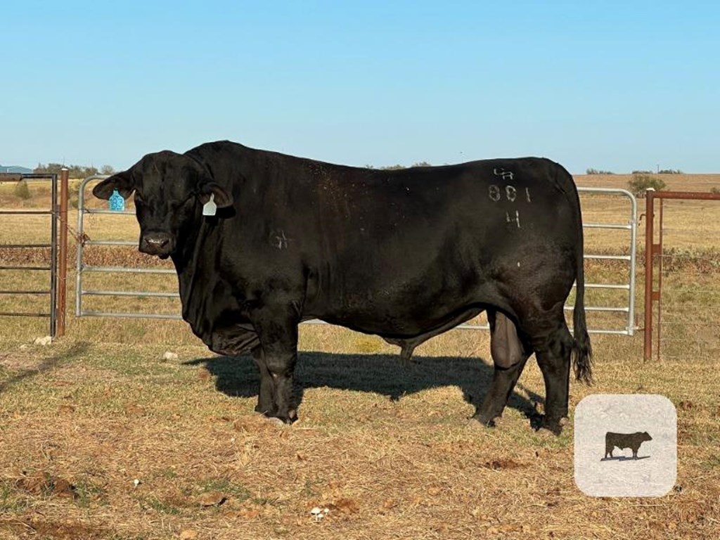 Cattle Range Listing Photo