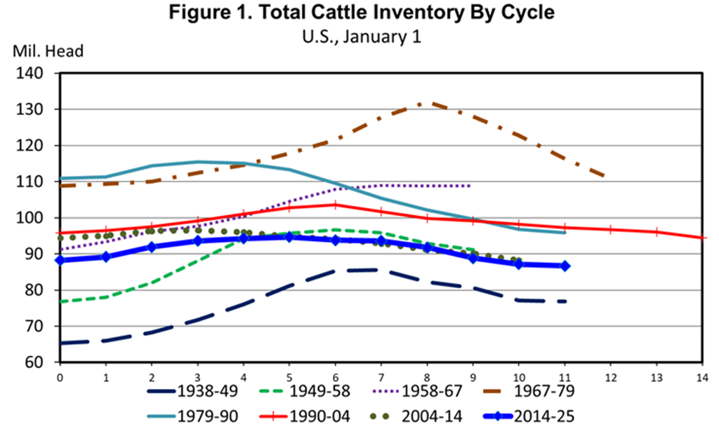 U.S. Cattle Inventories Still Looking for a Low