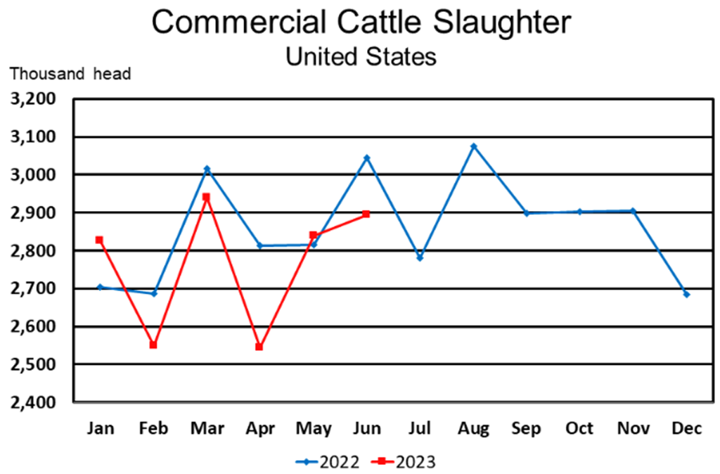 Commercial Red Meat Production for June Down 4 Percent