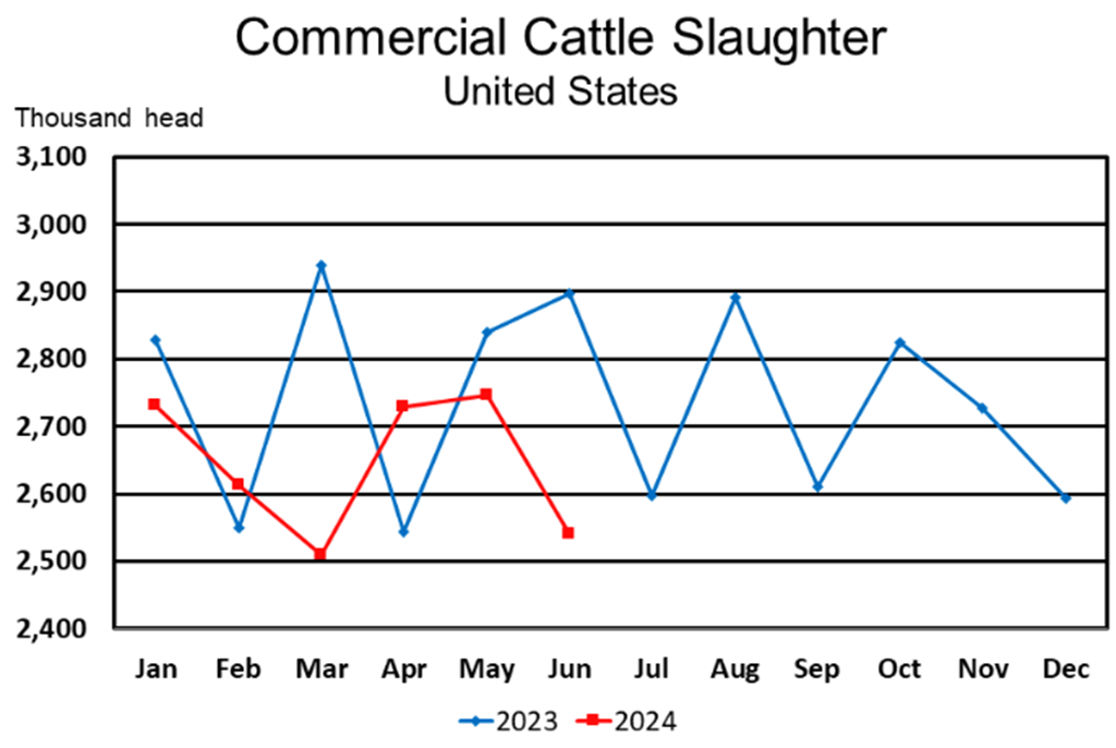 July Livestock Slaughter Report: Red Meat Production Down 6 Percent from Last Year