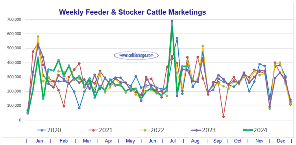 Feeder & Stocker Cattle Marketings for the week ending 8/3/24