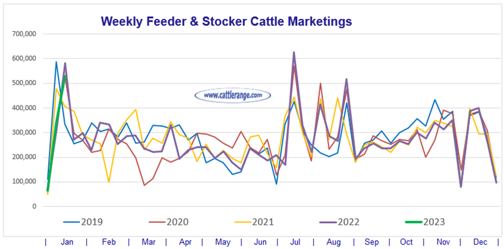 Feeder & Stocker Cattle Marketings for the week ending 1/14/23