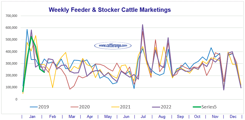 Feeder & Stocker Cattle Marketings For The Week Ending 2/4/23 Cattle Range