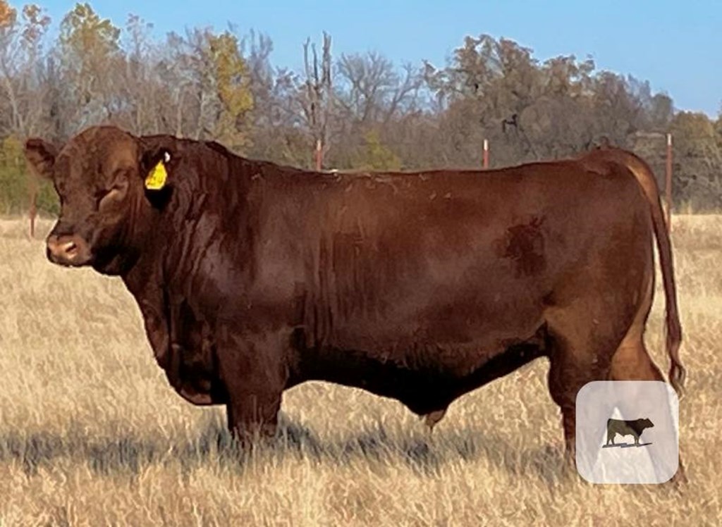 Cattle Range Listing Photo