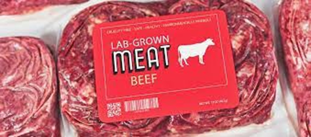 Lab-Grown Meat may have a Bigger Carbon Footprint than Retail Beef