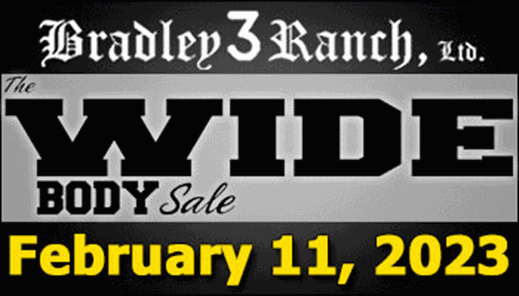 SS-Bradley 3 Ranch Wide Body Bull Sale-02-11-2023