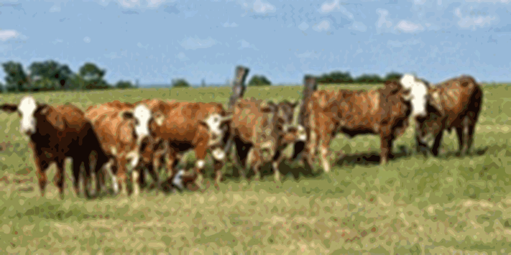 Listings Cattle Range