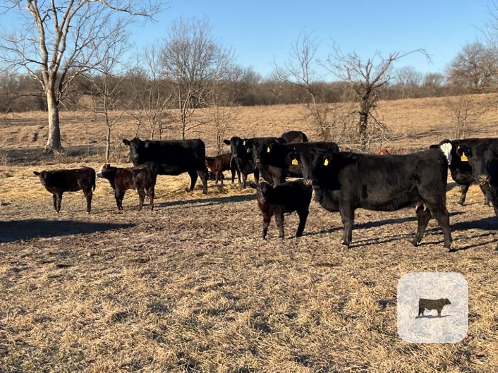 Cattle Range Listing Photo