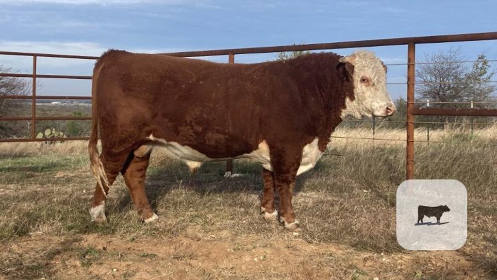 Cattle Range Listing Photo