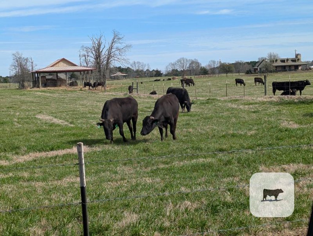 Cattle Range Listing Photo