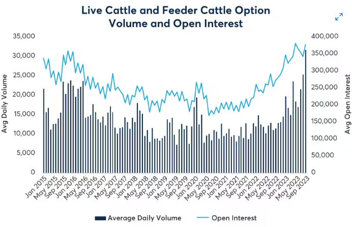 Cattle Futures & Options: Record Volume & Volatility In November Cattle ...