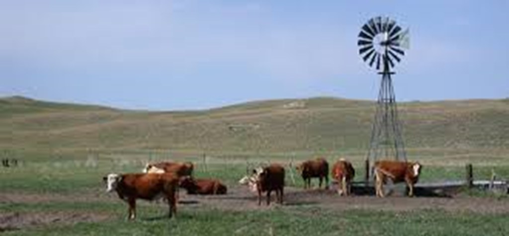 Pasture & Range Conditions as of July 14, 2024