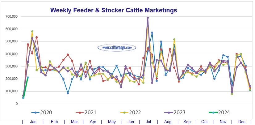 Feeder & Stocker Cattle Marketings For The Week Ending 1/6/24 Cattle Range