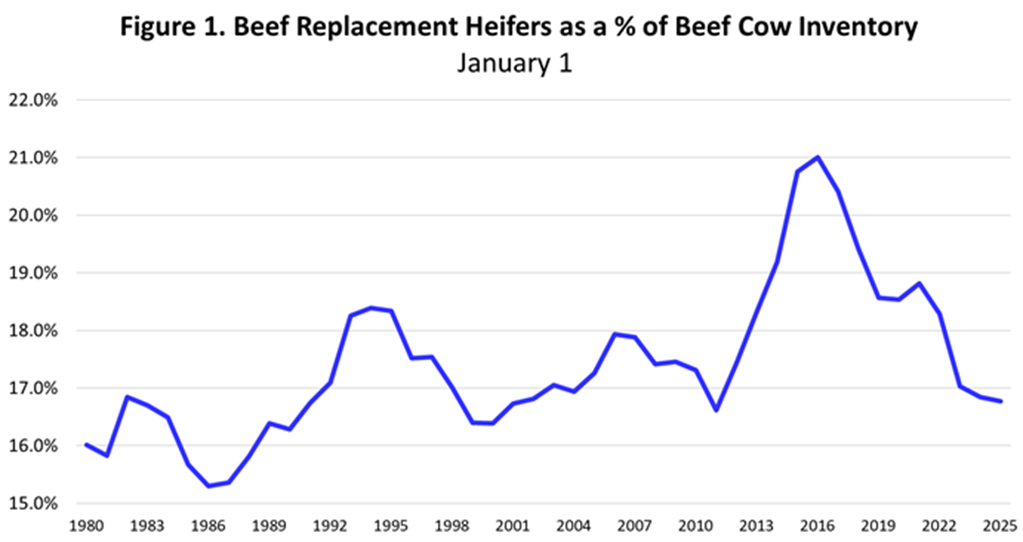 Strong Cattle Markets Threatened by Uncertainty and Volatility