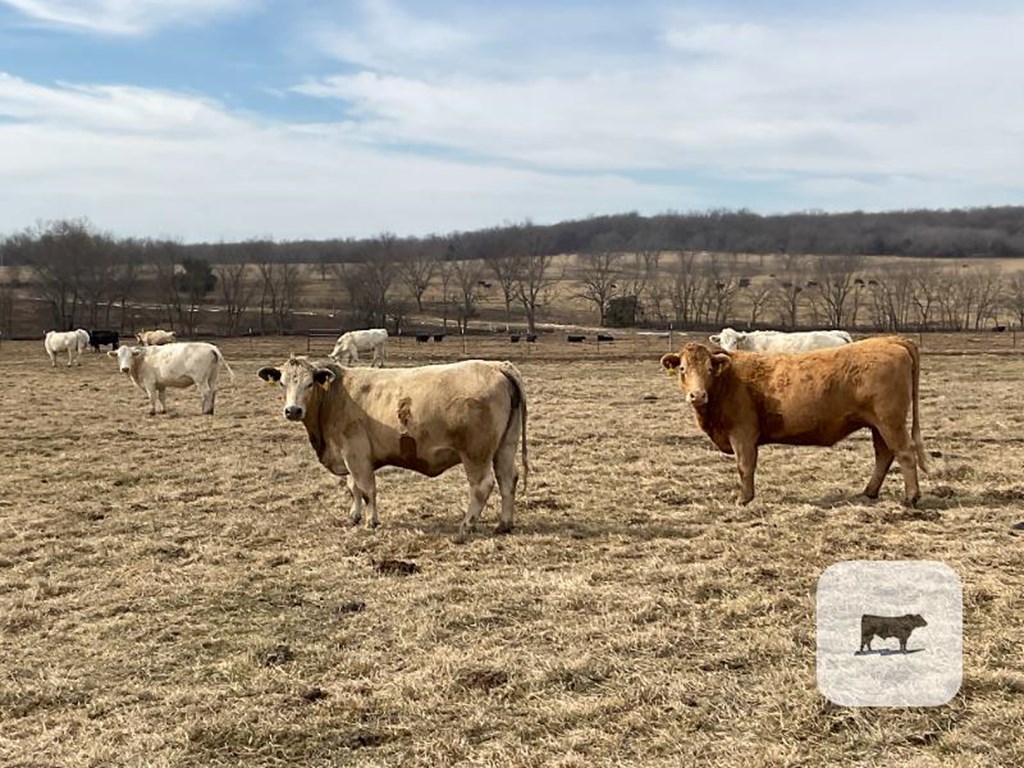 Cattle Range Listing Photo