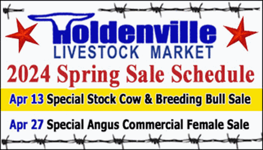 Holdenville Special Stock Cow & Breeding Bull Sale