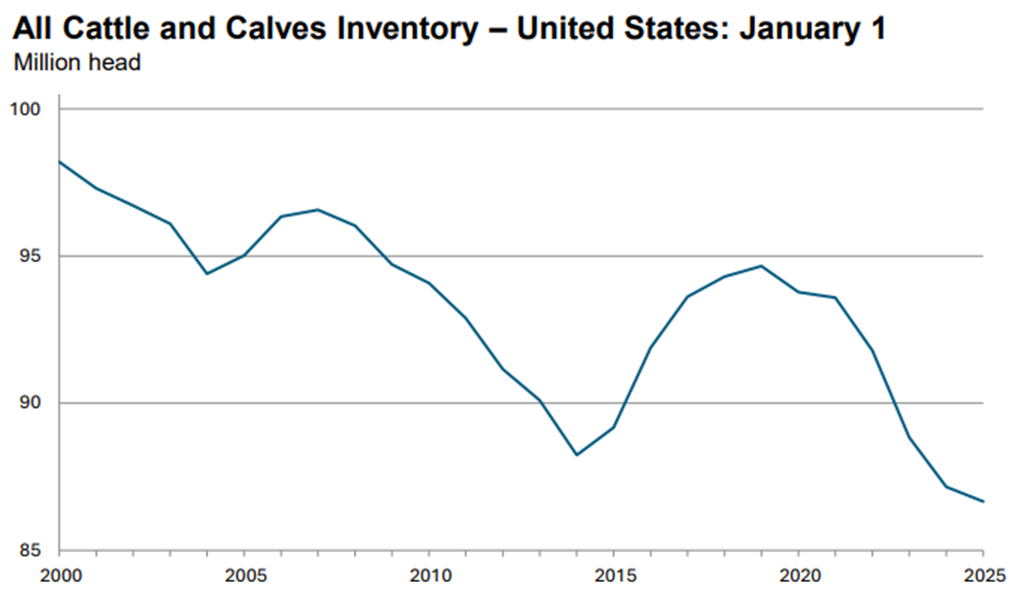 January 1 Cattle Inventory Down 1 Percent