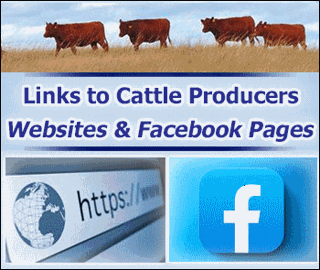 Links to Cattle Producers’ Websites & Facebook Pages