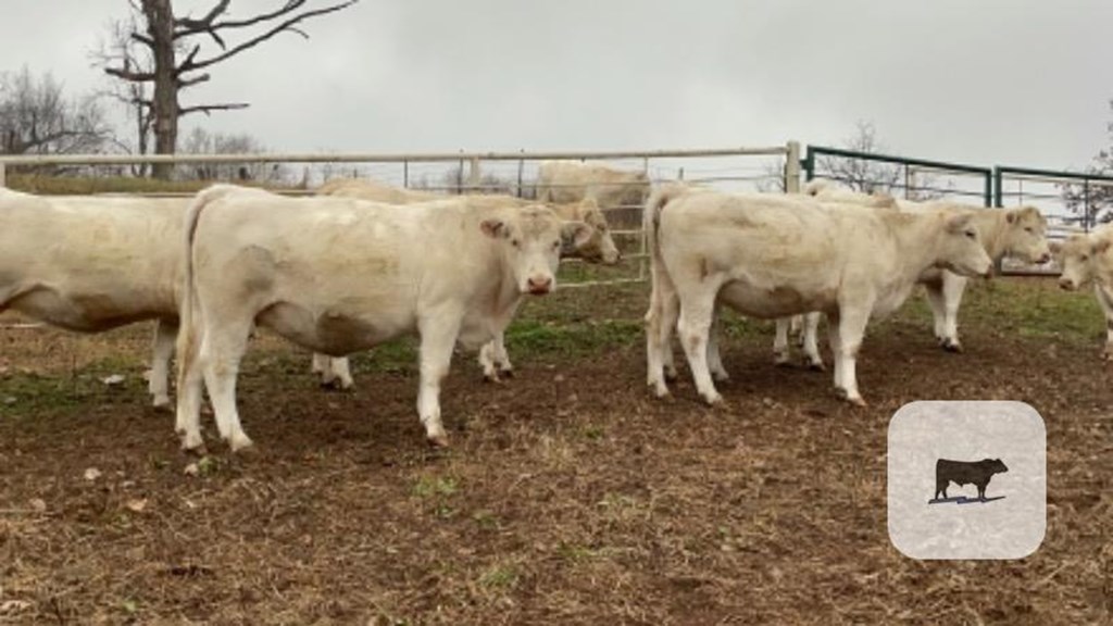 Cattle Range Listing Photo