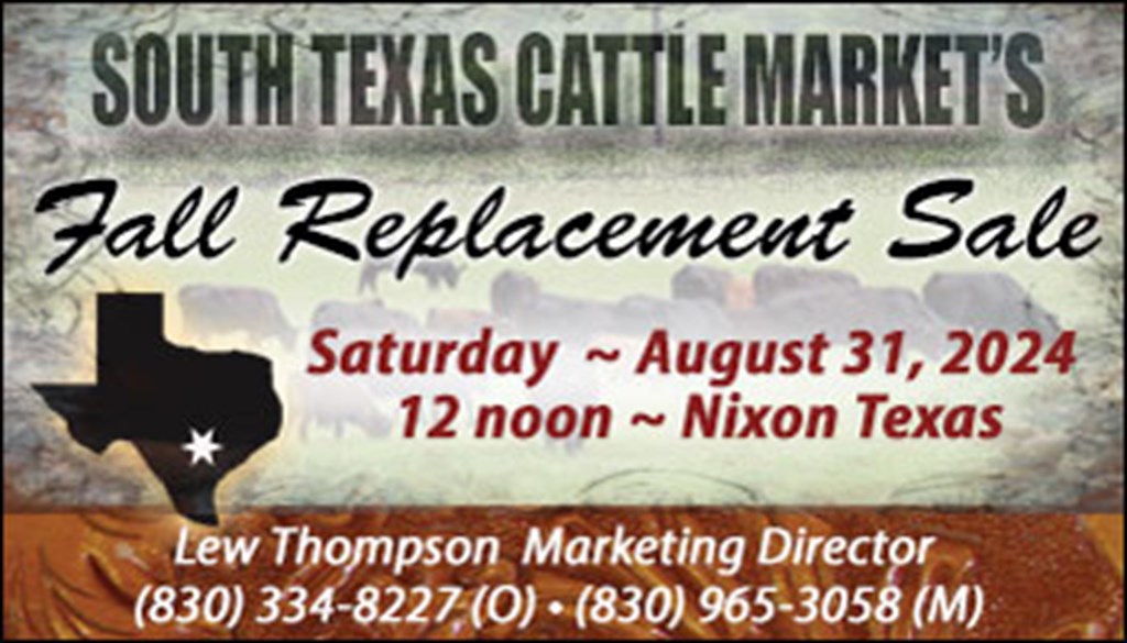 South Texas Cattle Marketing Fall Rep. Female Sale