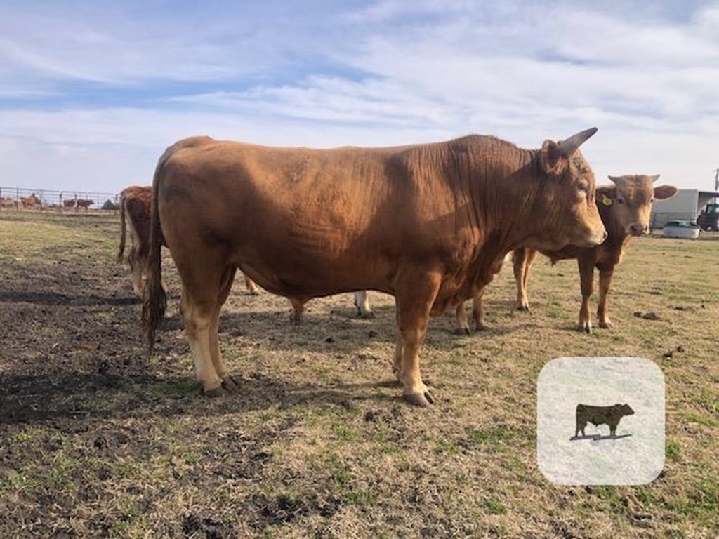 Cattle Range Listing Photo