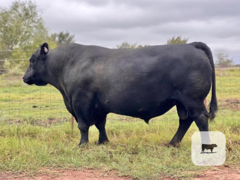 Cattle Range Listing Photo