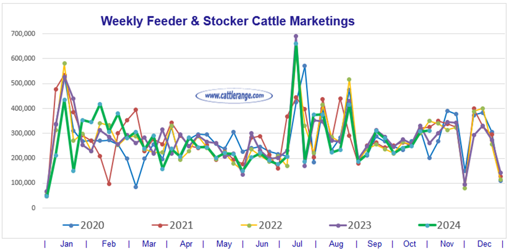 Feeder & Stocker Cattle Marketings for the week ending 10/26/24